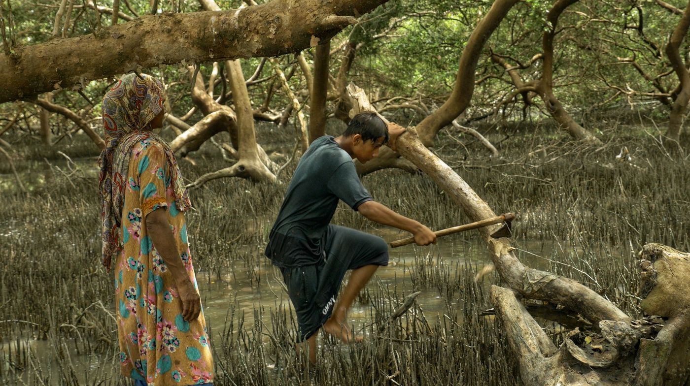 Still from Gard