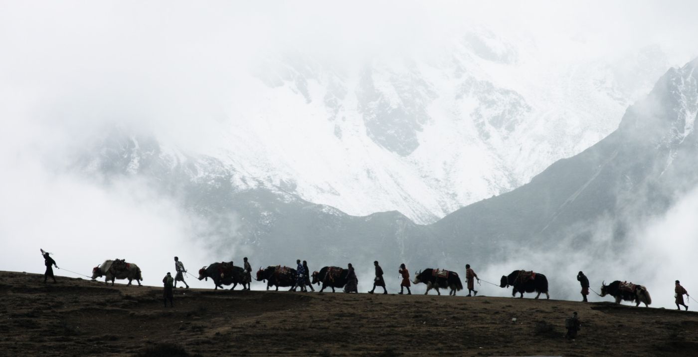 Still from The Last Yak Herder